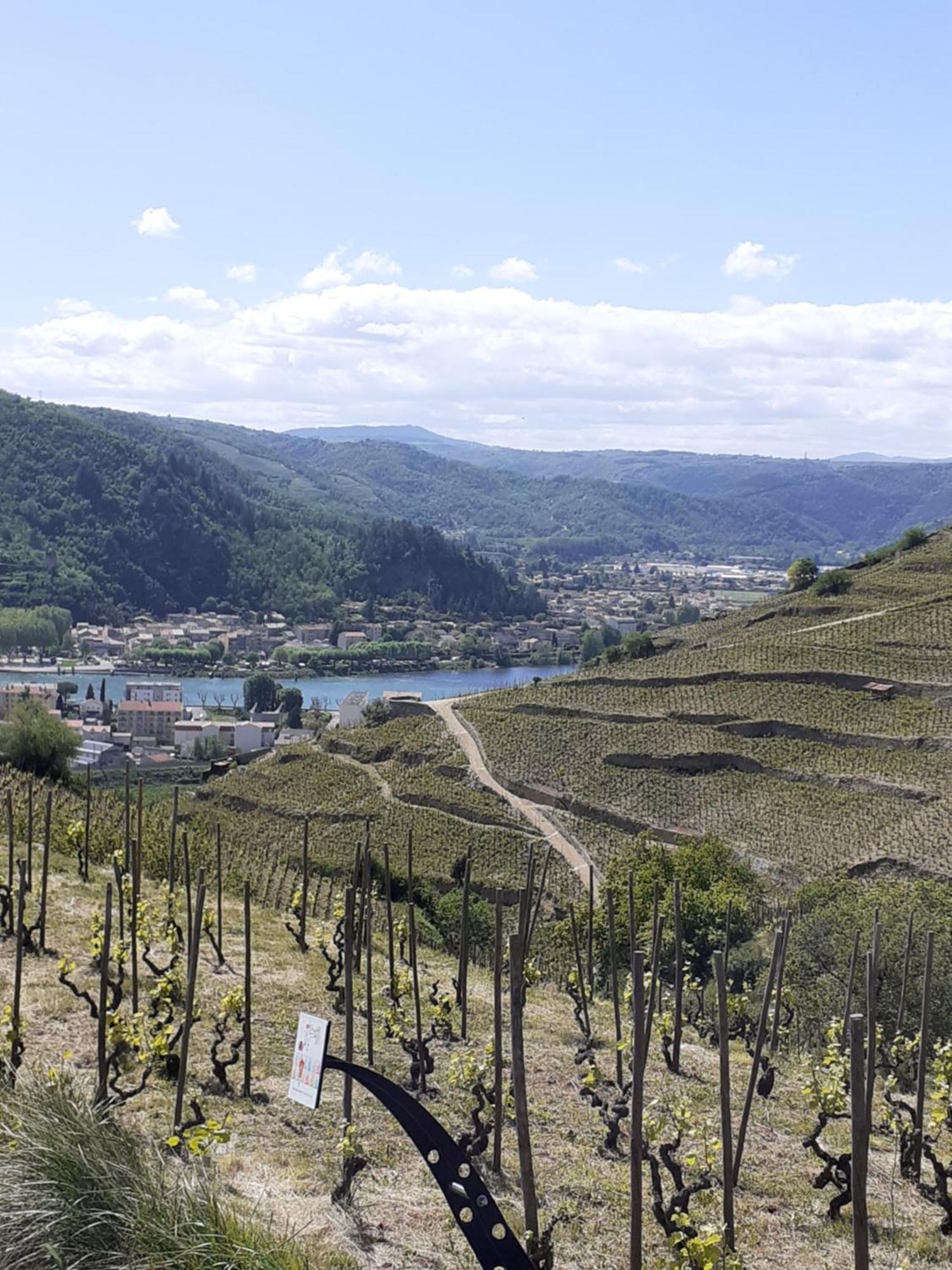 Gite Du Vigneron A La Terrasse Piscine Local Velos Турнон-сюр-Рон Екстер'єр фото